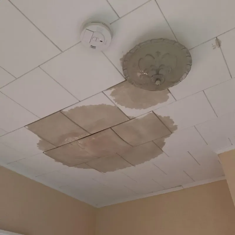 Ceiling Water Damage Repair in Council Bluffs, IA